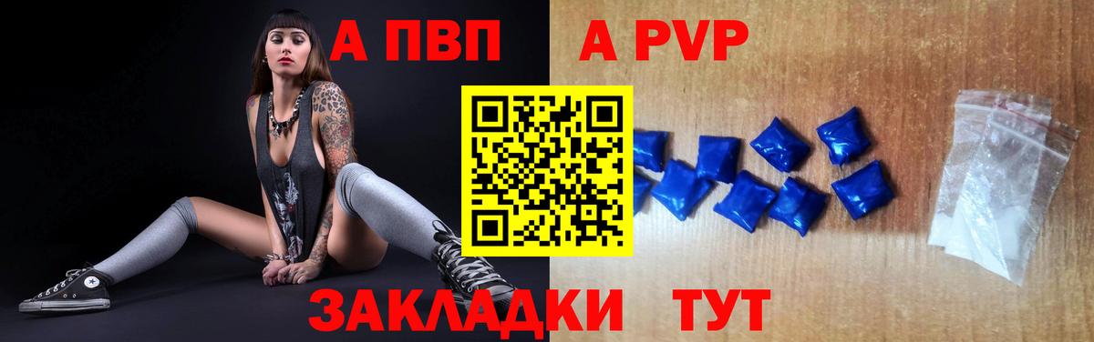 Альфа ПВП СК Кисловодск